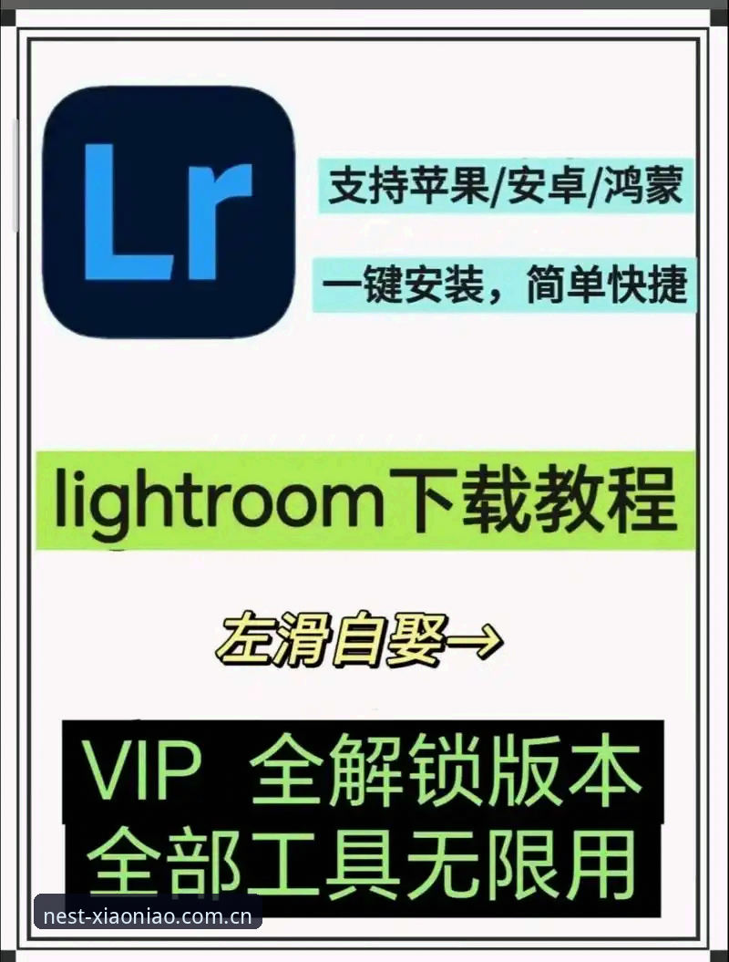 小鸟平台登录必备知识：手机版下载安装与注册全流程实用指南
