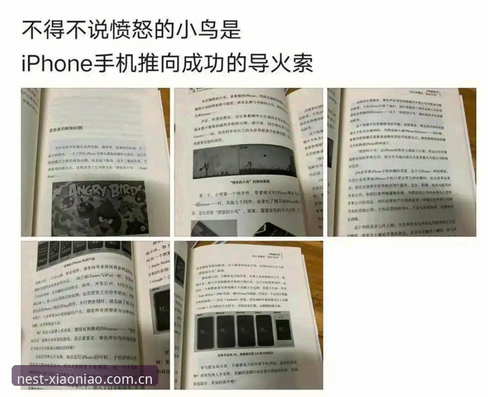 3种方法轻松搞定小鸟平台官方苹果下载与登录体验