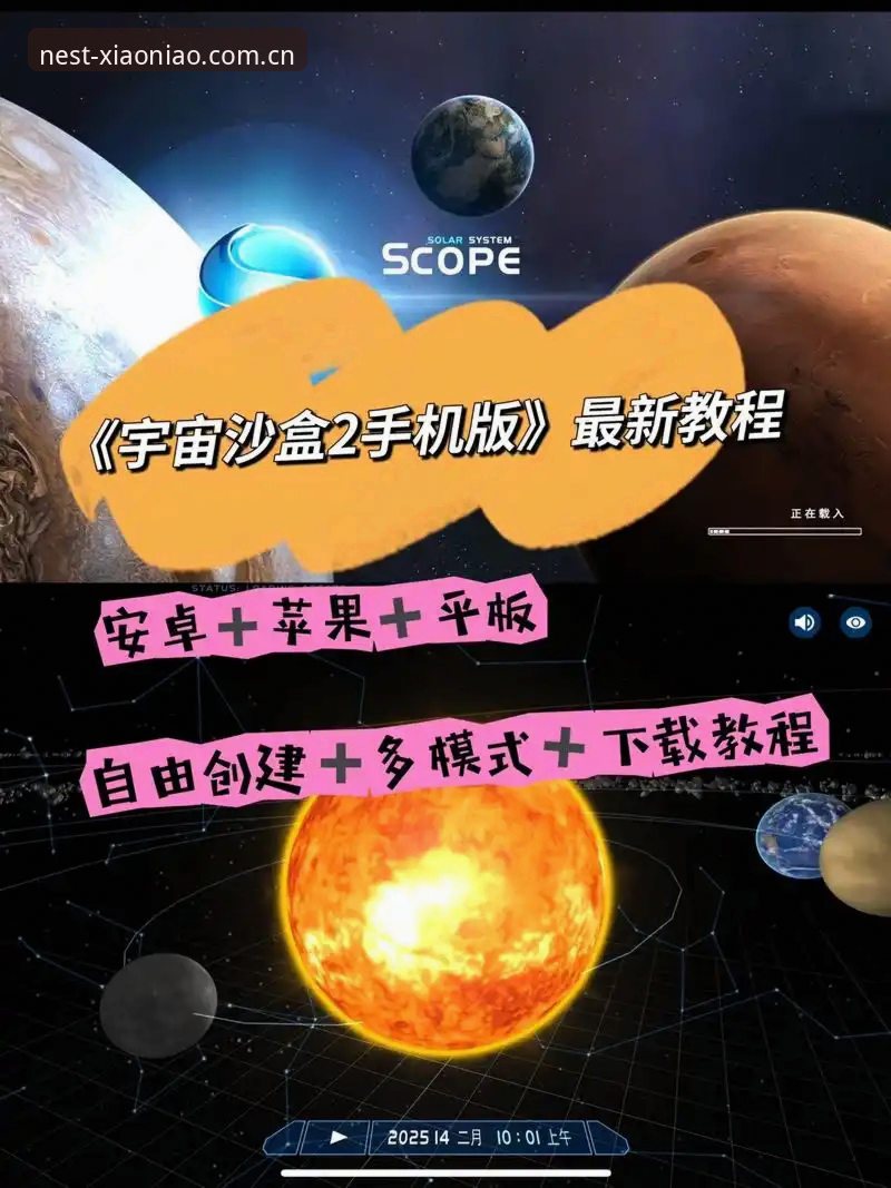 小鸟平台登录体验对比：苹果版与安卓版下载使用指南哪个更优？