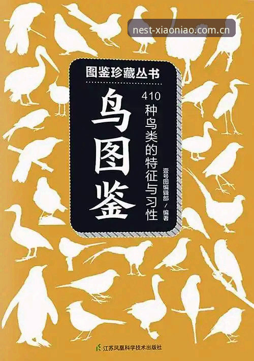 小鸟平台登录实用指南：从注册到使用的完整评估分析