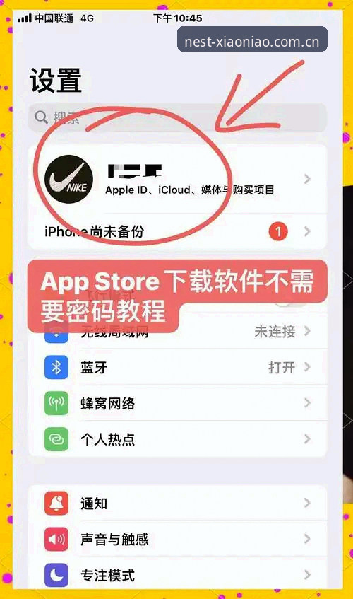 小鸟平台苹果安装常见问题全面解析：从下载到登录的完整指南